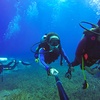 Scuba Diving