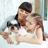 Pet Sitting