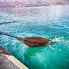 The Rowing Machine