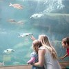 aquarium