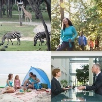 Trips and Vacations