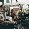 field trip