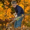 kids chores