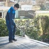 pesticide