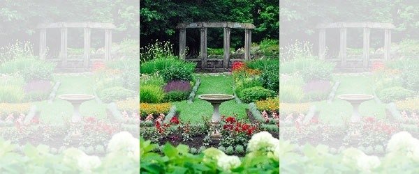 A Gardeners Garden