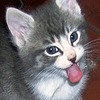 Cat Got Your Tongue