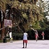 Basketball - Talking with Friends