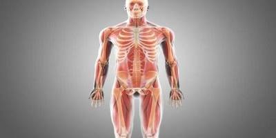 Body Parts - Interactive Practice